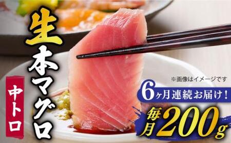 【全6回定期便】五島列島産養殖生本かみマグロ 中トロ 200g [RBP027] 本マグロ 本まぐろ 本鮪 本マグロ 本まぐろ 本鮪 本マグロ 本まぐろ 本鮪 本マグロ 本まぐろ 本鮪九州 長崎