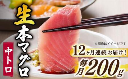 【全12回定期便】五島列島産養殖生本かみマグロ 中トロ 200g [RBP028] 本マグロ 本まぐろ 本鮪 本マグロ 本まぐろ 本鮪 本マグロ 本まぐろ 本鮪 本マグロ 本まぐろ 本鮪九州 長崎