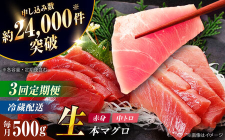 【全3回定期便】五島列島産養殖生本かみマグロ 赤身 中トロ 計約500g[RBP029] まぐろ まぐろ まぐろ まぐろ まぐろ 中トロ 中トロ 九州 長崎