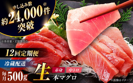 【全12回定期便】五島列島産養殖生本かみマグロ 赤身 中トロ 計約500g[RBP031] 本マグロ 本まぐろ 本鮪 本マグロ 本まぐろ 本鮪 本マグロ 本まぐろ 本鮪九州 長崎