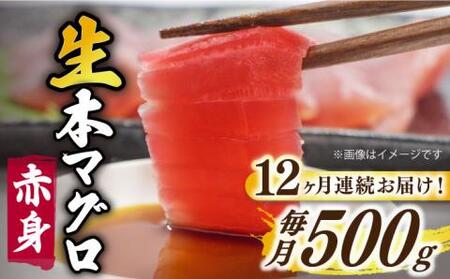 【全12回定期便】五島列島産養殖生本かみまぐろ 赤身 500g[RBP063] 本マグロ 本まぐろ 定期便 本マグロ 本まぐろ 定期便 本マグロ 本まぐろ 定期便九州 長崎