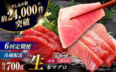 【全6回定期便】五島列島産養殖生本かみまぐろ 赤身 中トロ 計約700g[RBP068] 本マグロ 本まぐろ 定期便 本マグロ 本まぐろ 定期便 本マグロ 本まぐろ 定期便九州 長崎