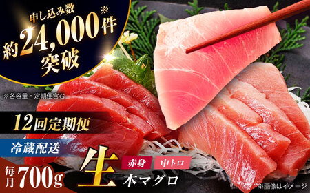 【全12回定期便】五島列島産養殖生本かみまぐろ 赤身 中トロ 計約700g[RBP069] 本マグロ 本まぐろ 定期便 本マグロ 本まぐろ 定期便 本マグロ 本まぐろ 定期便九州 長崎