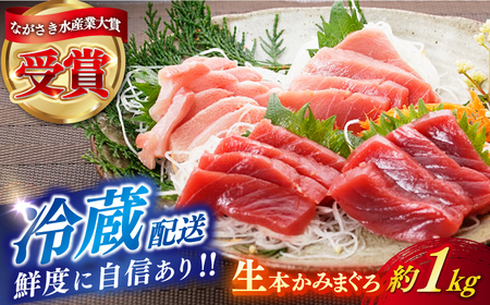 五島列島産養殖生本かみマグロ 赤身 中トロ 大トロ 計約1kg [RBP088] 本マグロ 本まぐろ 本マグロ 本まぐろ 本マグロ 本まぐろ 本マグロ 本まぐろ 本マグロ 本まぐろ九州 長崎