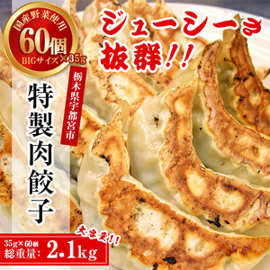 餃子専門店 宇都宮 悟空 特製肉餃子60個入
