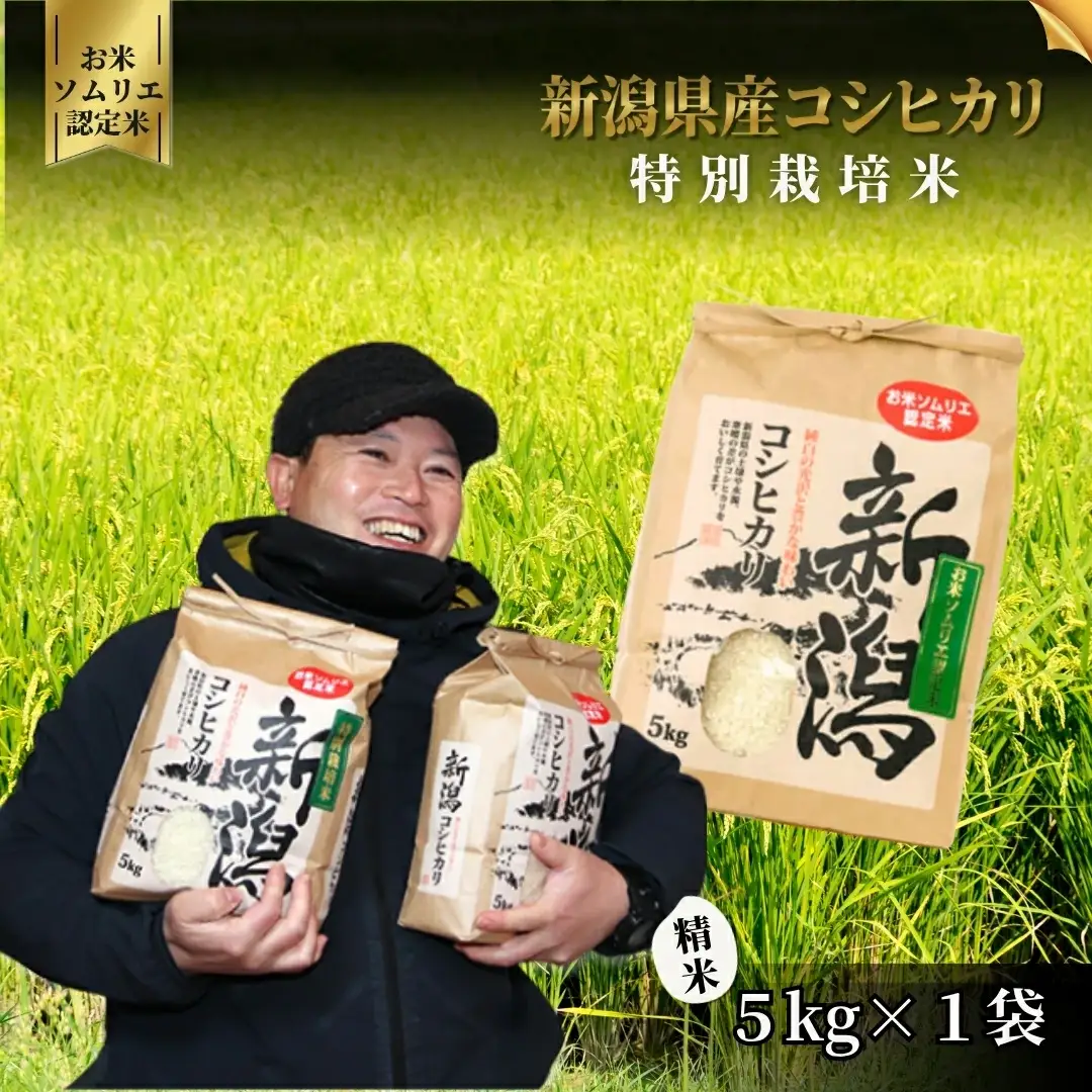 令和7年度産 特別栽培米コシヒカリ 5kg | 新潟県産 コシヒカリ