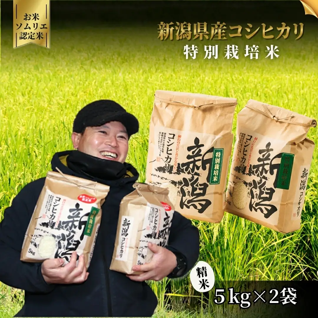 令和7年度産 特別栽培米コシヒカリ 10kg（5kg×2袋） | コシヒカリ