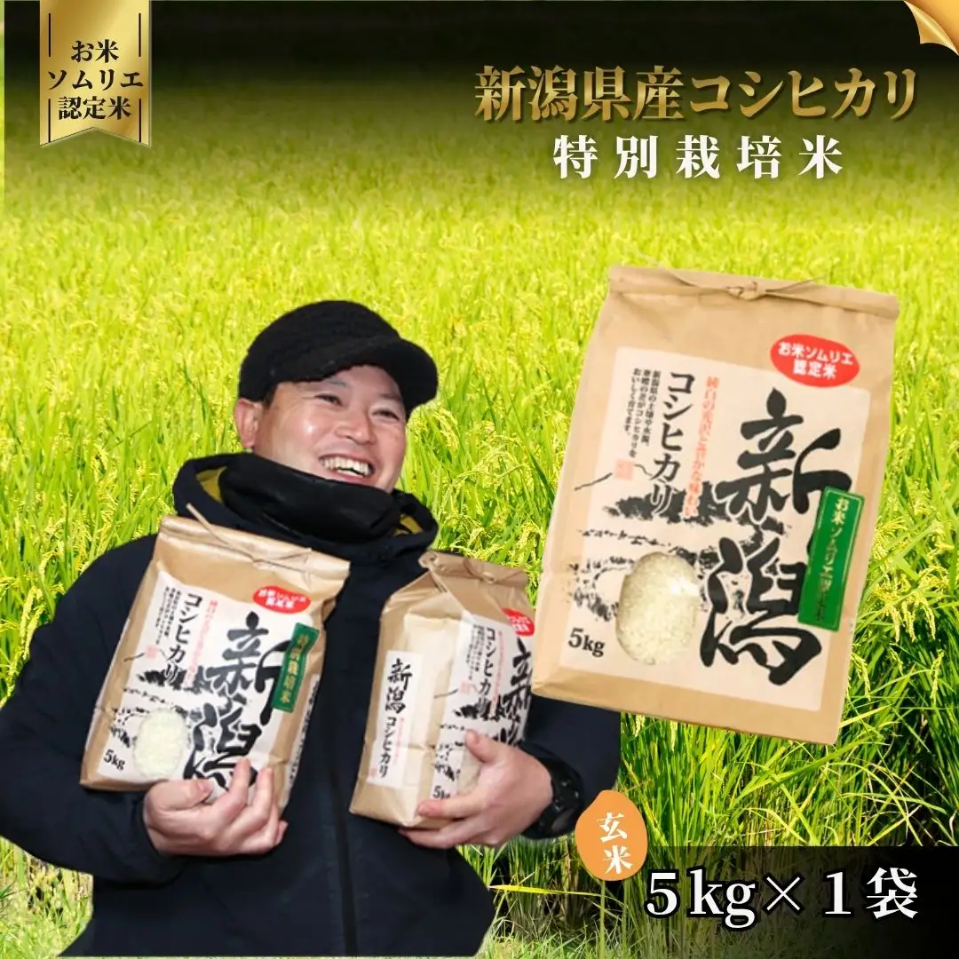 令和7年度産 特別栽培米コシヒカリ 玄米 5kg | 新潟県産 コシヒカリ