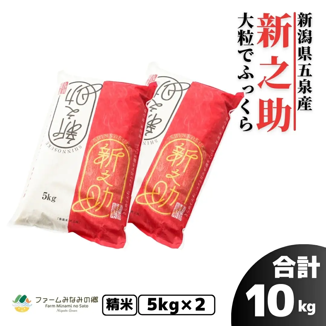 令和7年度産 新之助 精米 10kg（5kg×2袋）| 新潟県産 新之助