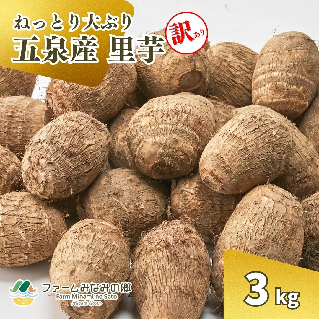 【令和8年産先行予約】五泉産【訳アリ】大玉さといも（2L以上）3kg | 新潟県 里芋