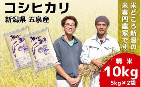 令和7年産 五泉産コシヒカリ 10kg（5kg×2袋）わくわく農場