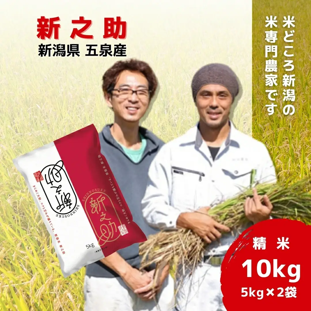 令和7年度産 五泉産新之助 10kg（5kg×2袋）わくわく農場 | 新潟県