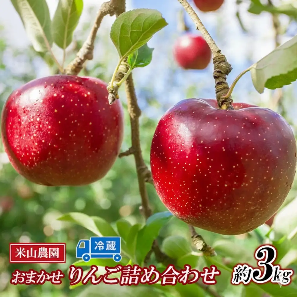 米山農園のおまかせりんご（シナノリップまたはサンつがる・シナノドルチェ・紅玉など）約3kg 8月から順次発送