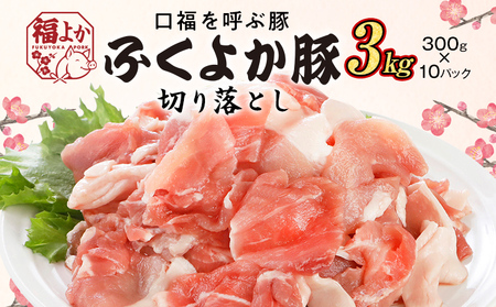 豚肉 切り落とし 3.0kg（300g×10パック） ふくよか豚肉