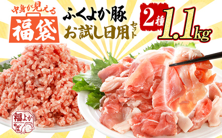 豚肉 福袋 【C】ふくよか豚肉 お試し日用セット