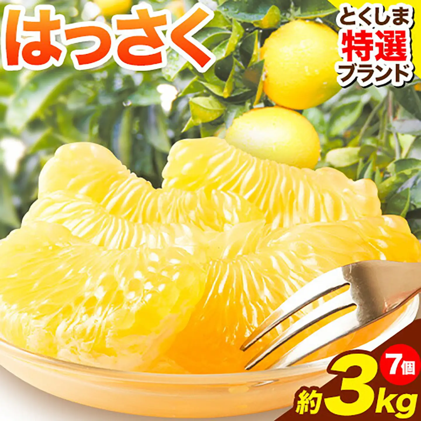 八朔 はっさく 約3kg