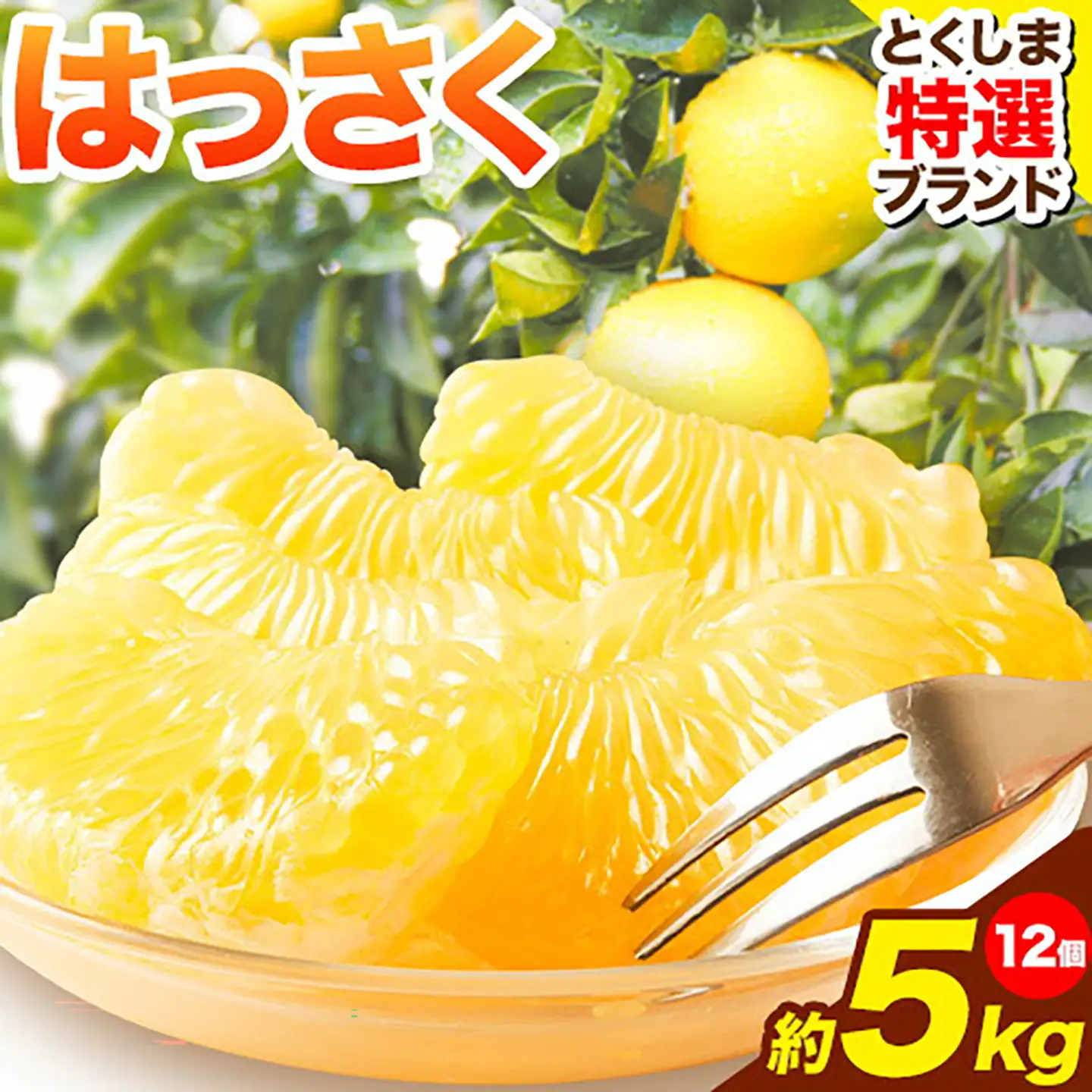 八朔 はっさく 約5kg