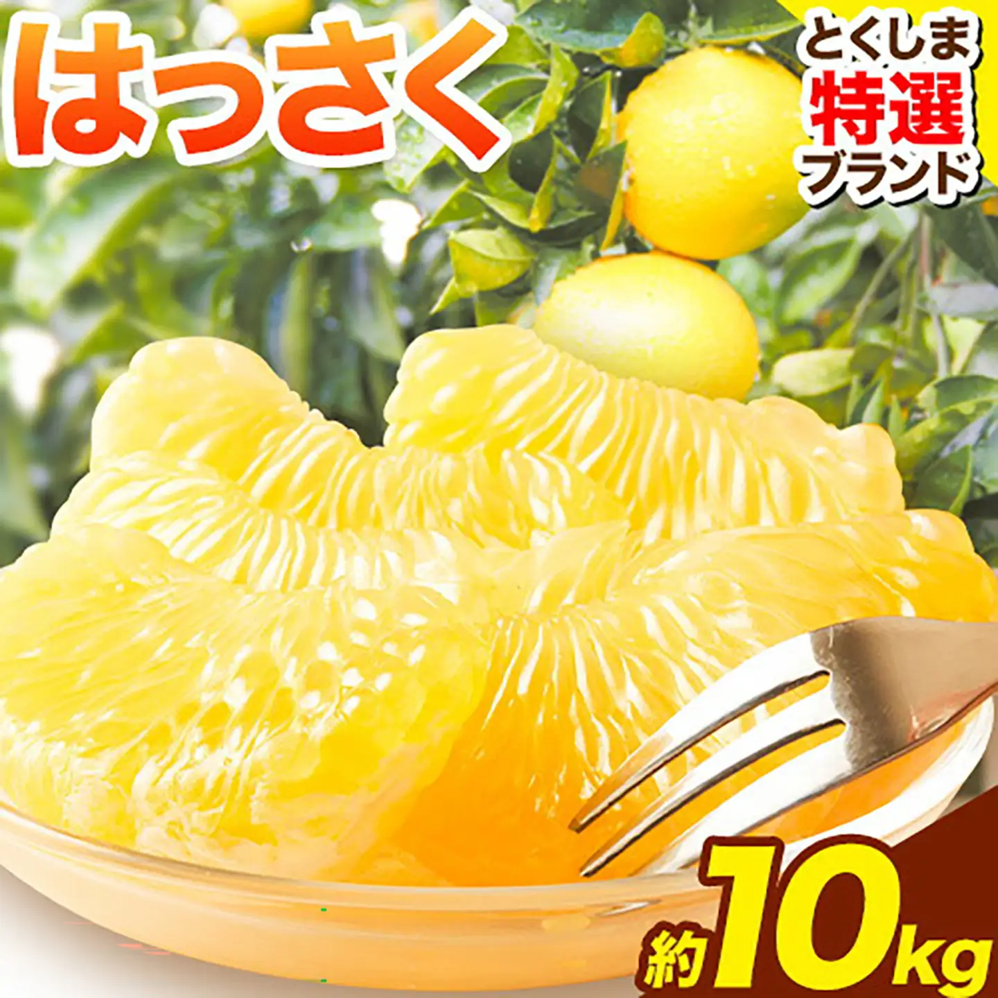 八朔 はっさく 10kg