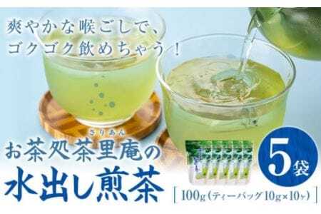 水出し煎茶 100g(10g×10個)  5袋 