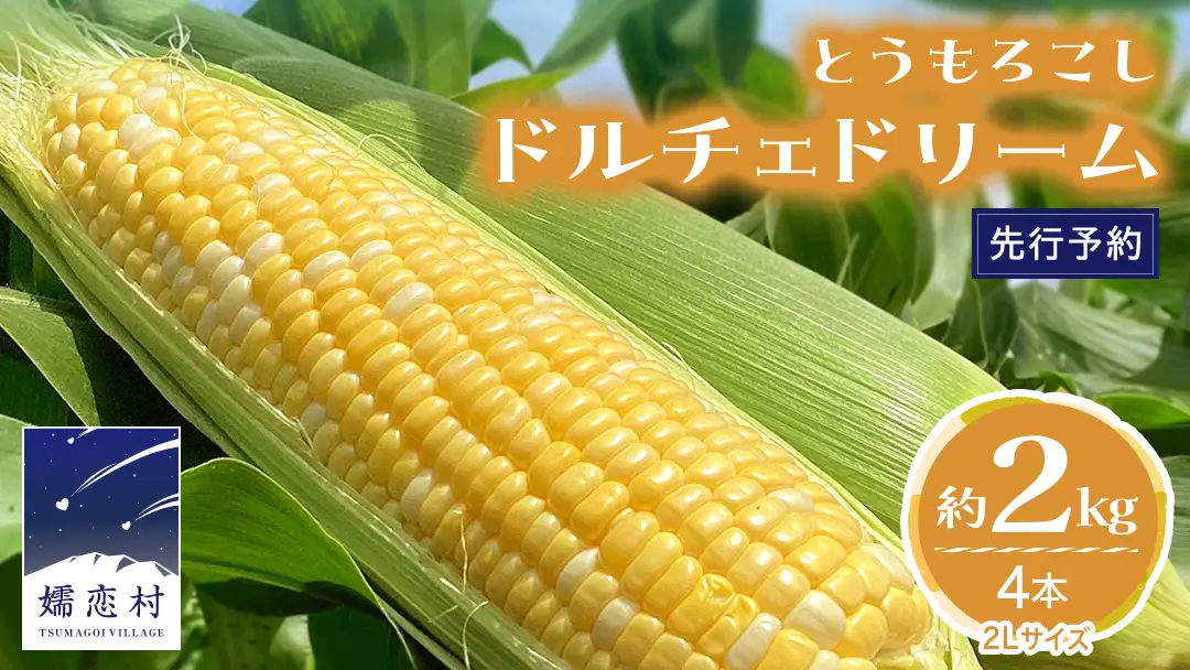 【 7月中旬発送開始 】 嬬恋産 とうもろこし ドルチェドリーム 約2kg（4本） [AT001tu]