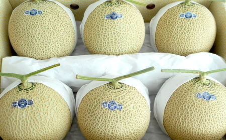 クラウンメロン『山等級』６玉詰 果物類 メロン青肉 6玉 