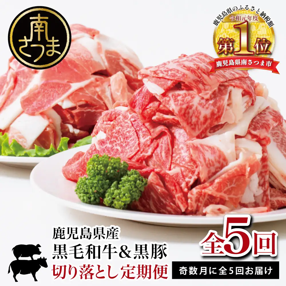 【モリモリ定期便】鹿児島県産黒毛和牛＆黒豚 切落し定期便（全5回）牛丼 肉じゃが カレー 炒め物 国産 お肉 定期便 冷凍 小分け 和牛もも肉 スターゼン
