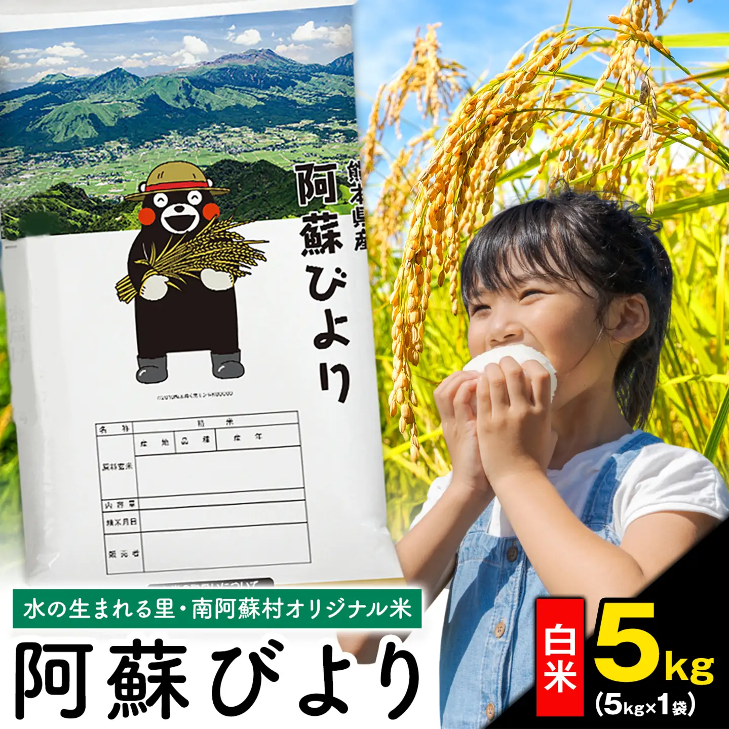 白米 精米 阿蘇びより  5kg (5kg×1袋) 