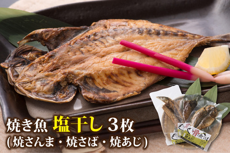 【塩干し】丸ごと骨まで食べられる焼き魚 計3枚（3枚セット×1種）［A-088001_01］ 