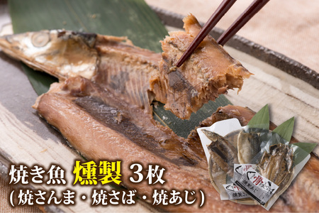【燻製】丸ごと骨まで食べられる焼き魚 計3枚（3枚セット×1種）［A-088001_03］ 