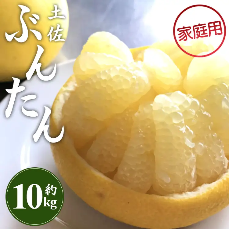 間城農園 土佐文旦 10kg 家庭用 文旦 ms-0095