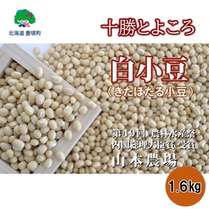 北海道 十勝とよころの小豆 きたほたる 1.6kg 豆 まめ