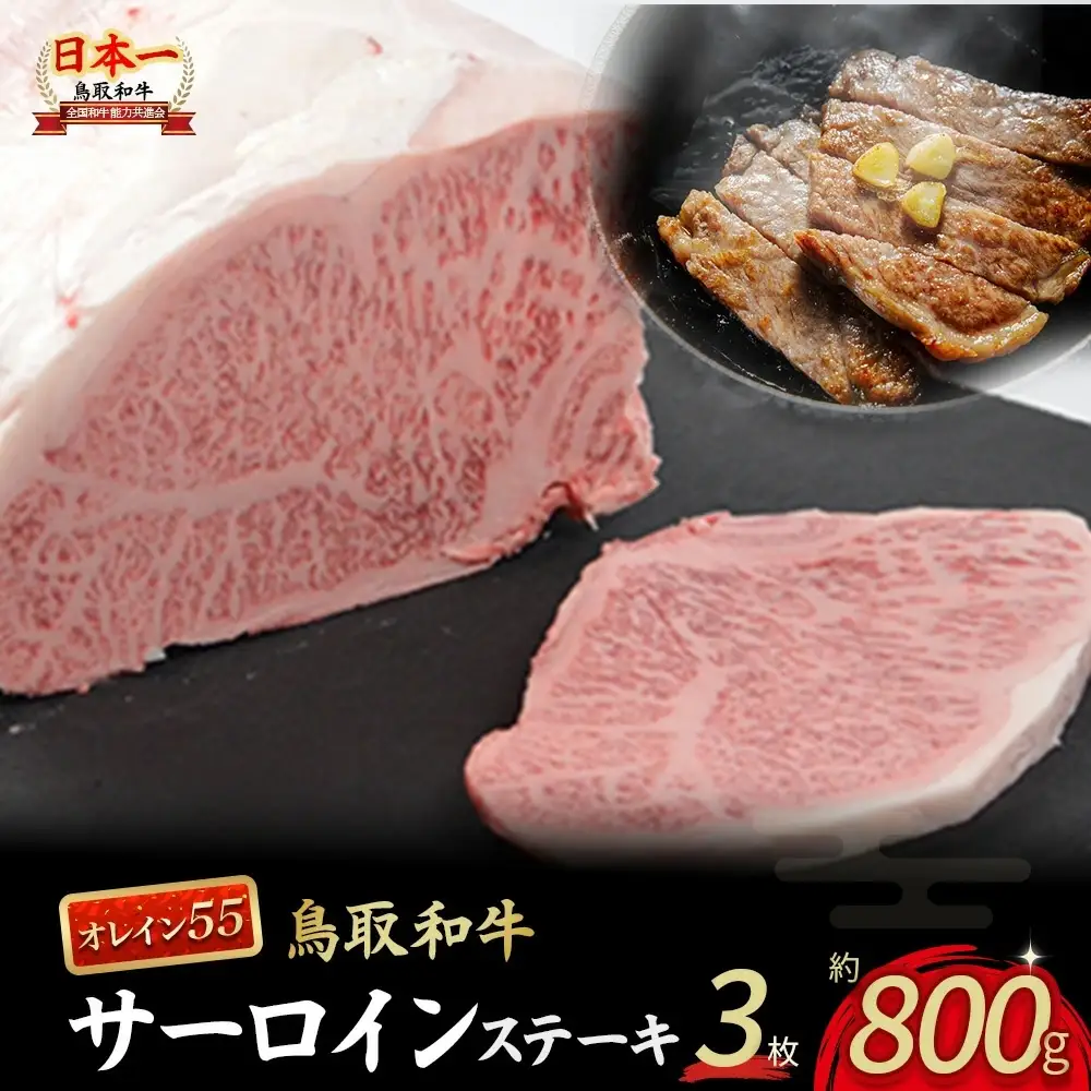 鳥取和牛 オレイン55 サーロインステーキ 3枚 （800g） 牛肉 黒毛和牛 KR1289