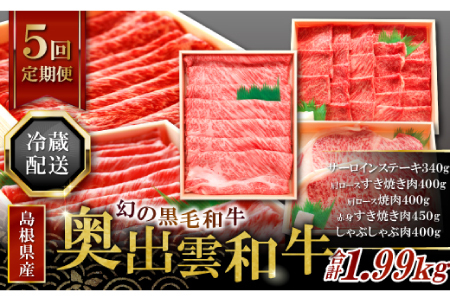 【毎月24日配送】【冷蔵配送】全国大会W受賞！奥出雲和牛いろいろ定期便5回【プレミアム】【牛肉 定期便 5回 サーロインステーキ 肩ロースすき焼き肉 肩ロース焼肉 赤身すき焼き肉 しゃぶしゃぶ肉 ステーキ すき焼き 焼肉 しゃぶしゃぶ 人気 冷蔵 国産 奥出雲和牛 黒毛和牛 ブランド牛 お祝い プレゼント ギフト】