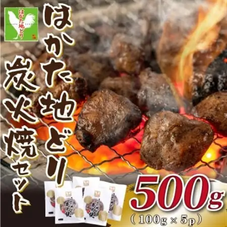【毎月定期便】はかた地どり炭火焼セット500g(100g×5p)全3回_肉 地鶏 鶏肉   肉  鶏肉   定期便 定期便  _【配送不可地域：離島】【4054417】