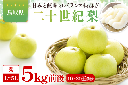 二十世紀梨　秀5kg前後【梨 秀品 5kg 20世紀 二十世紀 先行予約 期間限定 数量限定 フルーツ 果物 なし ナシ 贈答 贈り物 ギフト お取り寄せ 産地直送 鳥取県】
