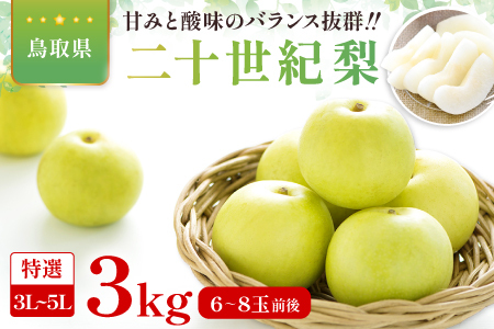 二十世紀梨　特選3kg【梨 特選 3kg 20世紀 二十世紀 先行予約 期間限定 数量限定 フルーツ 果物 なし ナシ 贈答 贈り物 ギフト お取り寄せ 産地直送 鳥取県】