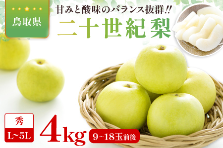 二十世紀梨　秀4kg【梨 秀品 4kg 20世紀 二十世紀 先行予約 期間限定 数量限定 フルーツ 果物 なし ナシ 贈答 贈り物 ギフト お取り寄せ 産地直送 鳥取県】
