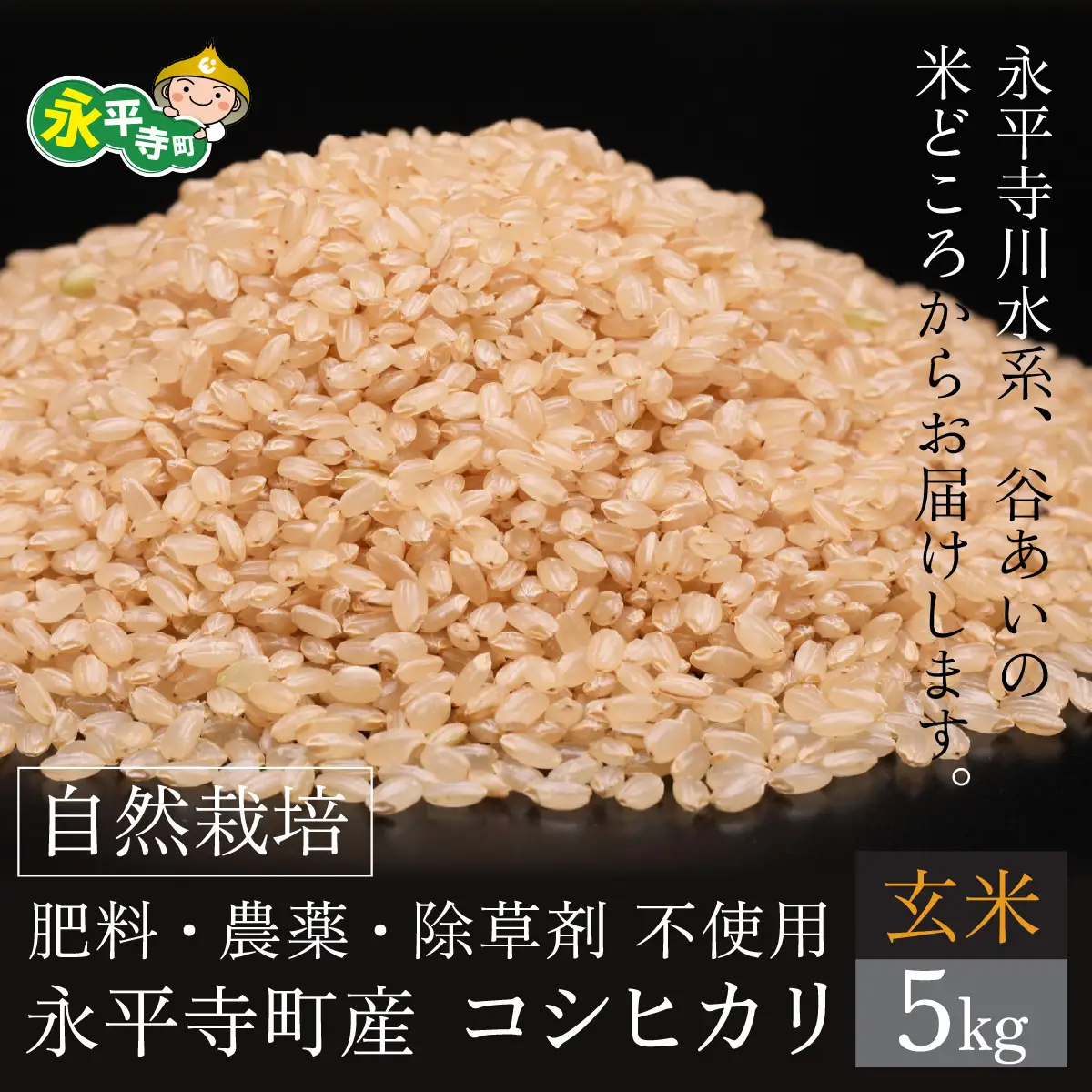 令和７年産  自然栽培米 永平寺町産 コシヒカリ 玄米 5kg  無農薬 化学肥料 除草剤 不使用 福井県 永平寺