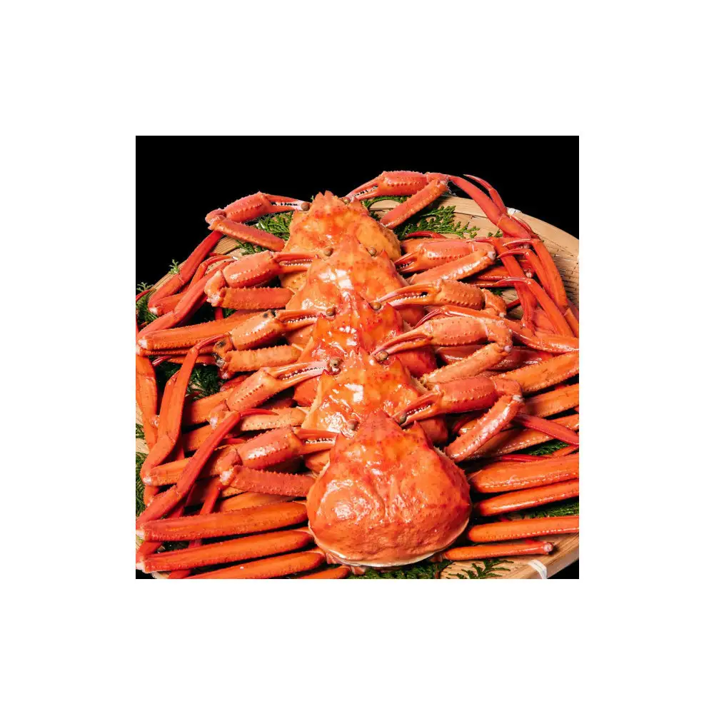 訳あり 蟹 紅ずわい蟹 2kg（4〜6枚） 年末年始 限定 冷凍 ボイル 境港産 鳥取県産