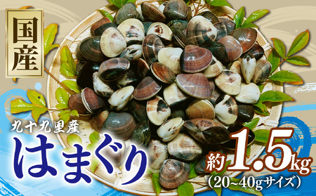 はまぐり 約1.5kg 冷凍 (約500g × 3P/20-40gサイズ) ハマグリ 蛤
