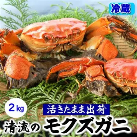 天然　活モクズガニ　約2kg　兵庫県新温泉町　【配送不可地域：離島・北海道・沖縄県・東北・九州】【1534325】