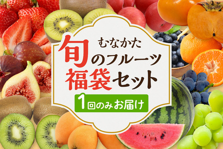 何が届くかお楽しみ！むなかた旬のフルーツ福袋セット【JAほたるの里】_HA1541