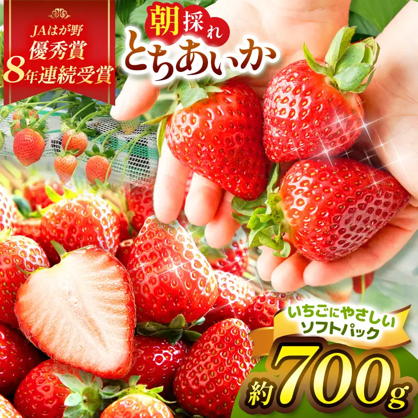 【2027年 先行予約】朝採れいちご とちあいか 700g ソフトパック