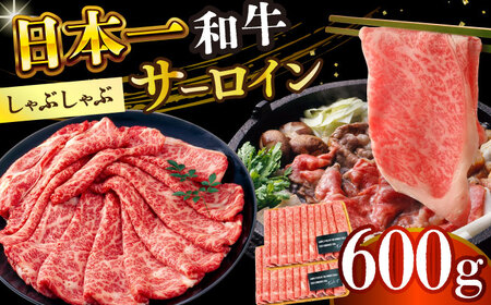 【厳選部位】A4-A5 長崎和牛サーロイン しゃぶしゃぶ すき焼き用 300g×2 [DBS018]