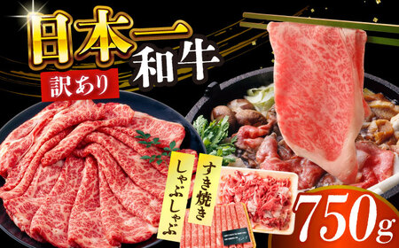 【訳あり】A4-A5 長崎和牛 しゃぶしゃぶ すき焼き 750g [DBS020] 訳あり 牛肉