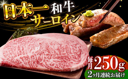 【2回定期便】A4-A5 長崎和牛 サーロインステーキ (250g×1) [DBS081] 牛肉 焼肉 ステーキ 