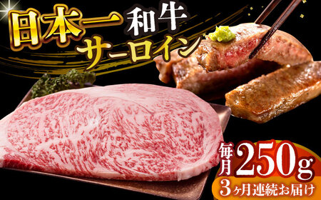 【3回定期便】A4-A5 長崎和牛 サーロインステーキ (250g×1)  [DBS082] 牛肉 焼肉 ステーキ 