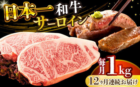 【12回定期便】A4-A5 長崎和牛 サーロインステーキ （250g×4） [DBS092] 牛肉 焼肉 ステーキ 
