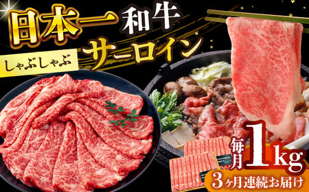 【3回定期便】【厳選部位】A4-A5 長崎和牛 サーロイン しゃぶしゃぶ すき焼き用 (500g×2)   [DBS106]