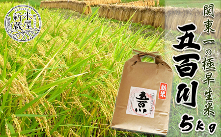 《令和７年産》【米屋新蔵】関東一の極早生米『五百川』５kg　[0016-0026]
